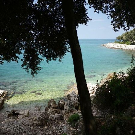 Guesthouse Galeb Vrsar Extérieur photo