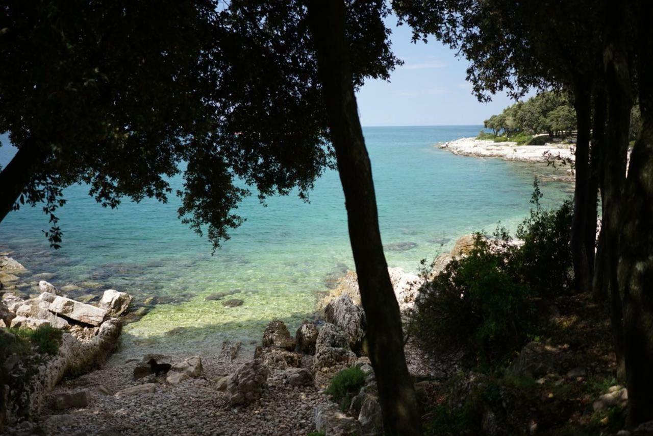 Guesthouse Galeb Vrsar Extérieur photo